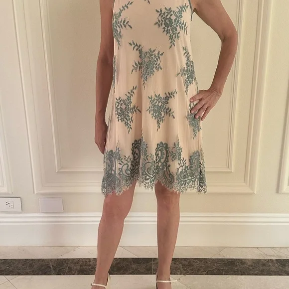 Max Studio Lace Embroidered A-Line Dress – Beige & Teal Floral Size S - Picture 2 of 14